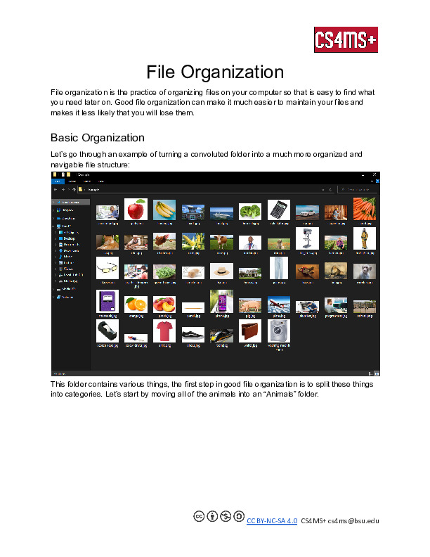 File Organization.pdf