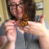 Erica F. Butterfly