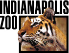 indy_zoo_tiger_logo.png