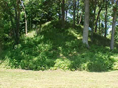 A Mound at Angel Mounds  Historic Site.