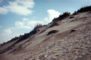 Dunes at Lake Michigan