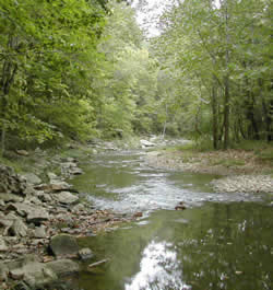 Stream in Southern Indiana