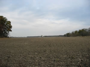 Farm field adjacent to the Loblolly Marsh.