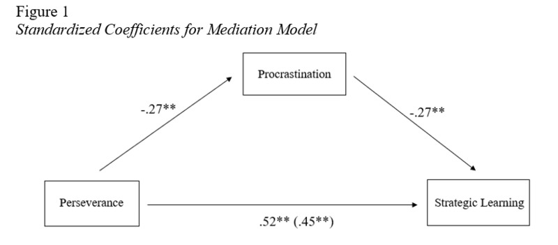 Mediation Model Results