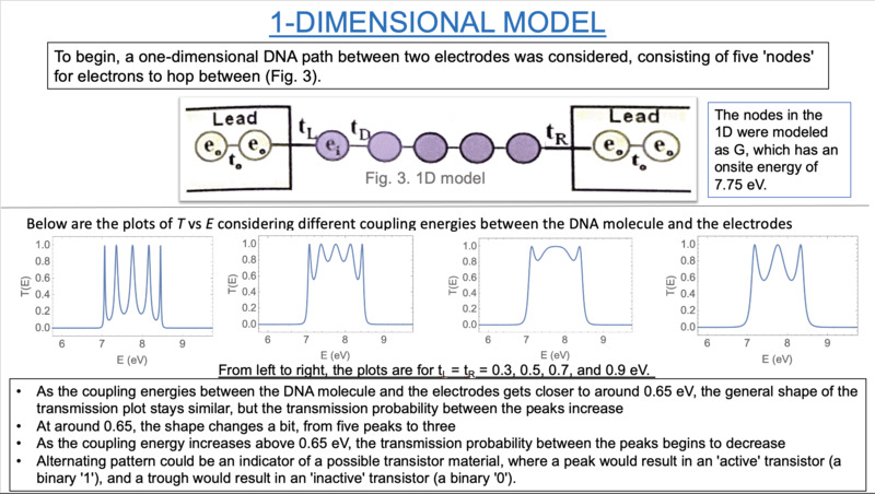 Electron Transport in DNA - Kramer - 1
