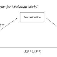 Mediation Model Results.PNG